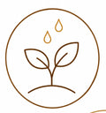 Growing the Seed