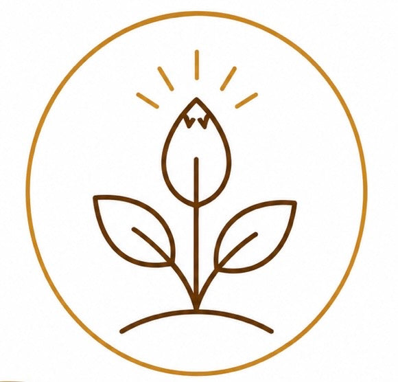 Seed Foundations